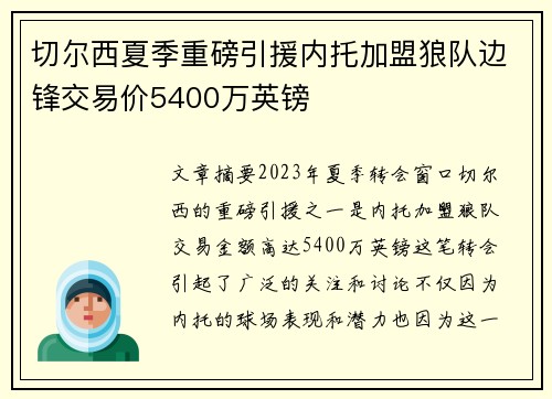 切尔西夏季重磅引援内托加盟狼队边锋交易价5400万英镑